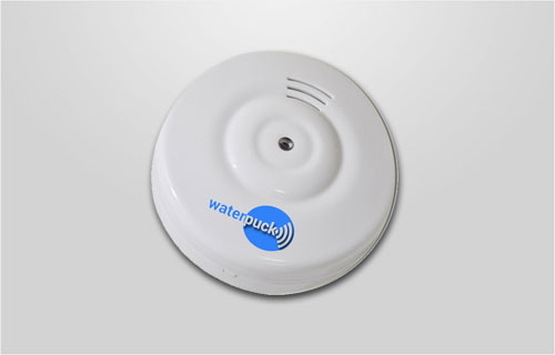 Waterpuck Water Alarm